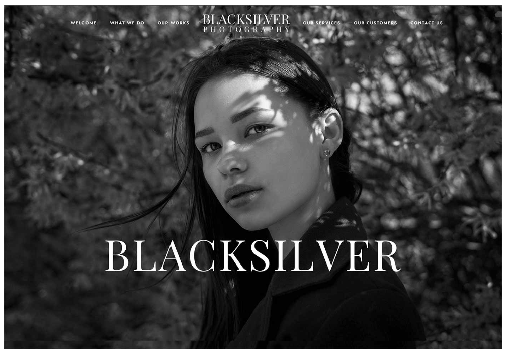 BLACK SILVERデモ